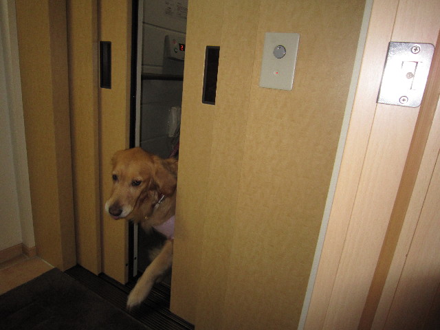 ファイル 1626-2.jpg