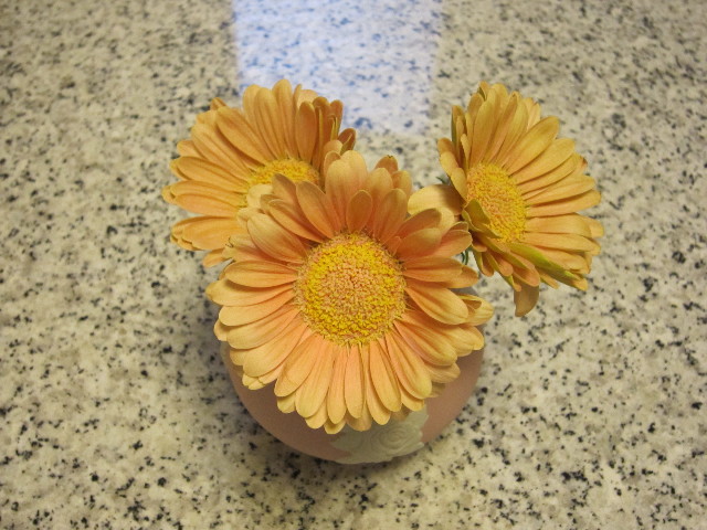 ファイル 1626-4.jpg