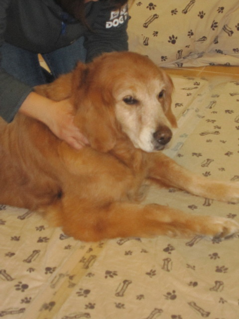 ファイル 1626-5.jpg