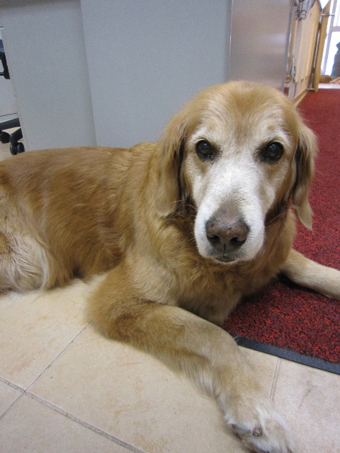 ファイル 1628-3.jpg