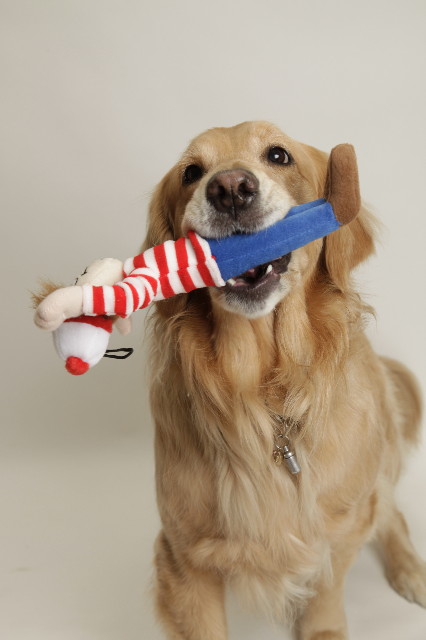 ファイル 1629-1.jpg