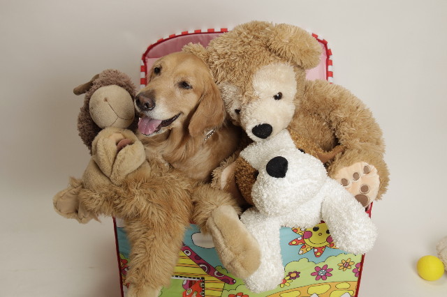 ファイル 1629-4.jpg