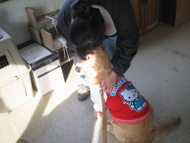 ファイル 163-1.jpg