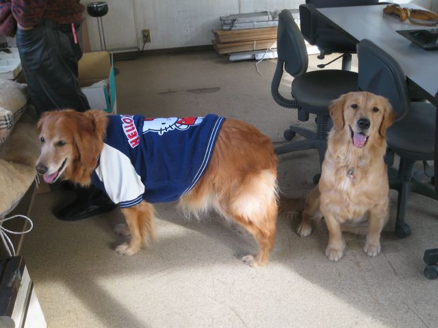 ファイル 163-2.jpg