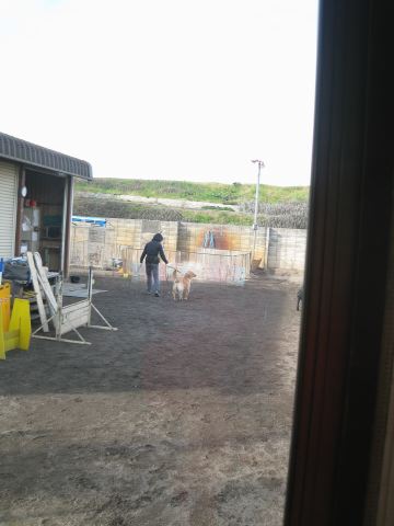 ファイル 163-3.jpg