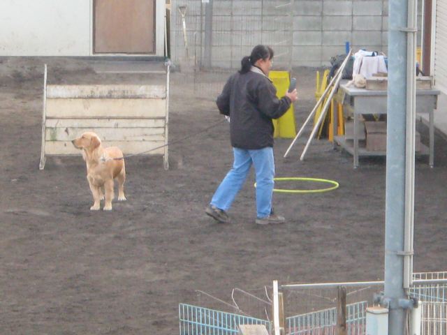 ファイル 163-4.jpg