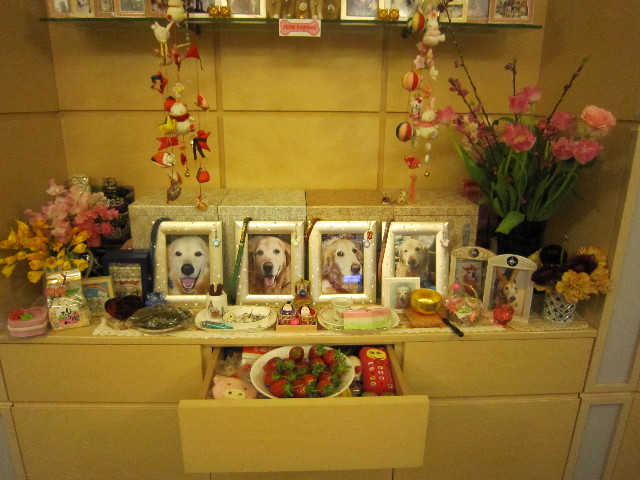 ファイル 1630-1.jpg