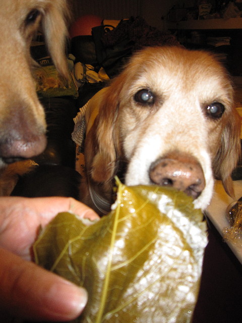 ファイル 1630-4.jpg