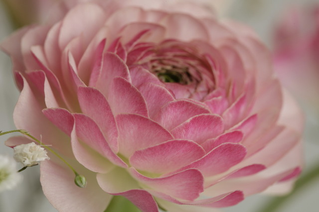 ファイル 1632-3.jpg