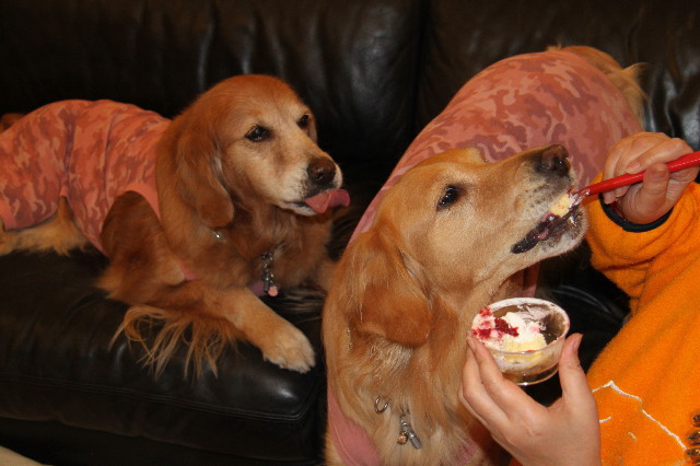 ファイル 1633-3.jpg