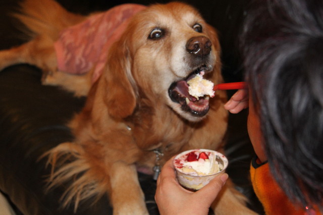 ファイル 1634-3.jpg