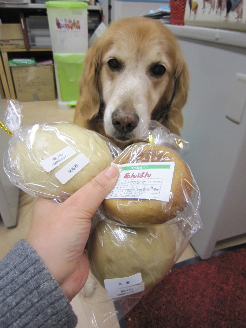 ファイル 1635-3.jpg