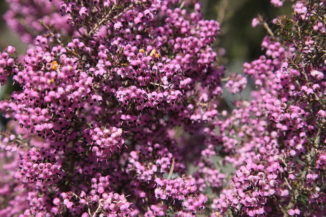 ファイル 1638-4.jpg