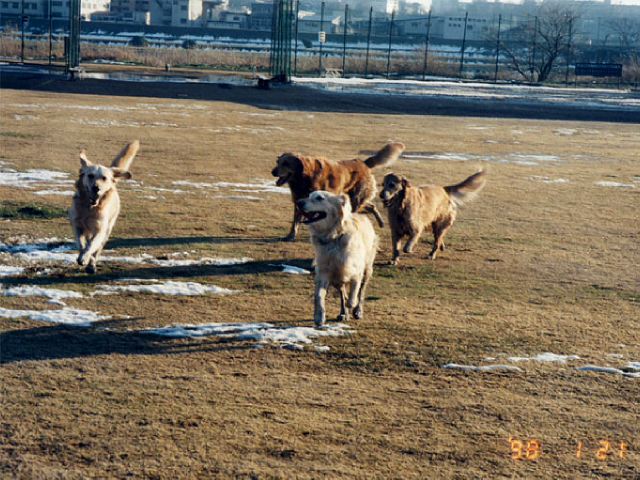 ファイル 164-2.jpg