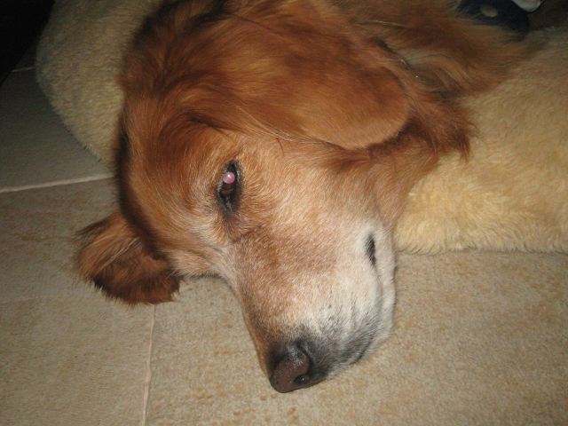 ファイル 164-3.jpg