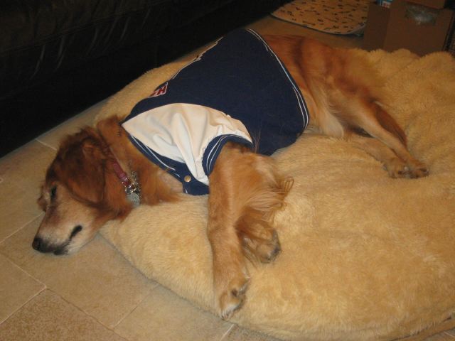 ファイル 164-4.jpg