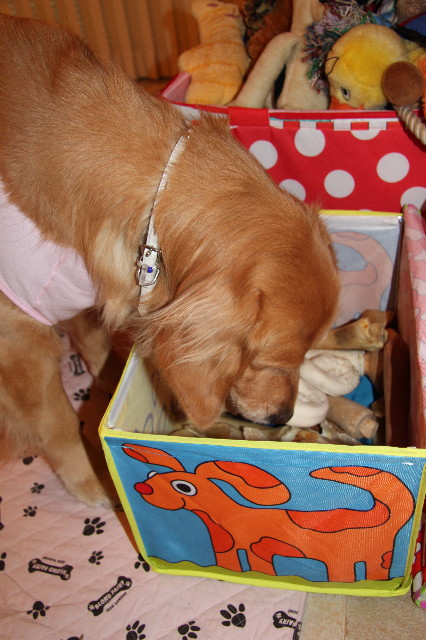 ファイル 1640-2.jpg