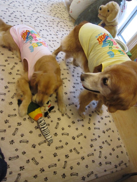 ファイル 1640-4.jpg