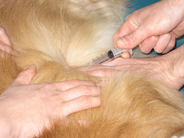 ファイル 1644-3.jpg