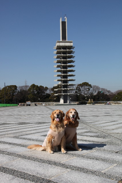 ファイル 1649-3.jpg