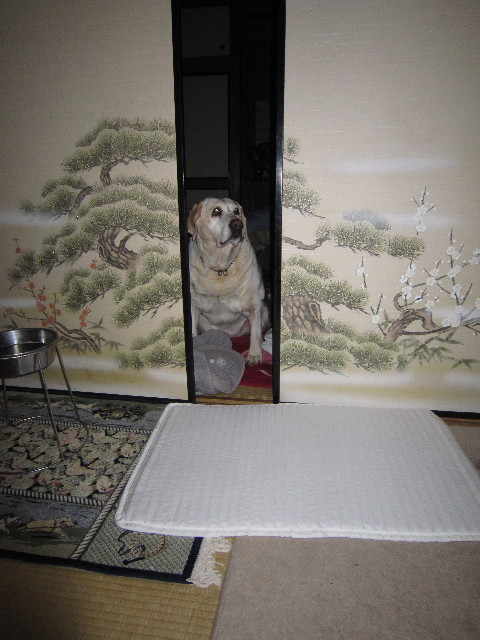 ファイル 1650-4.jpg