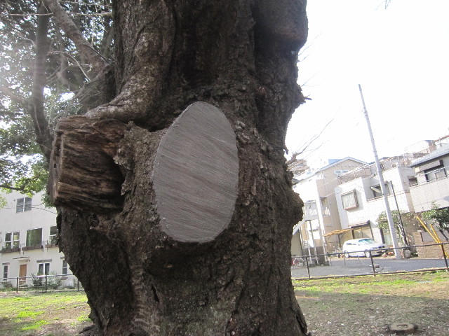 ファイル 1651-5.jpg