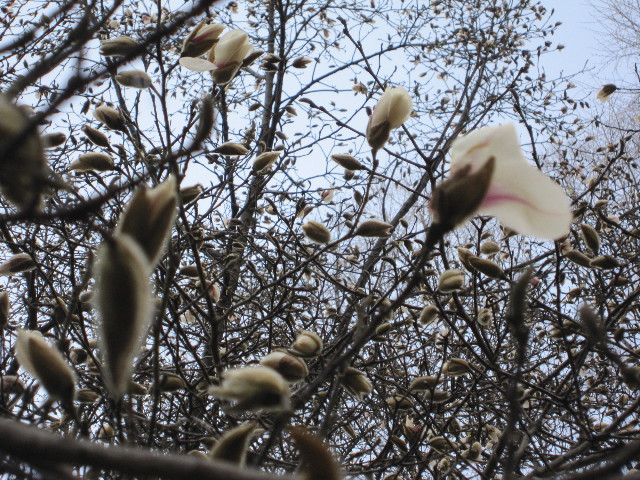 ファイル 1652-2.jpg