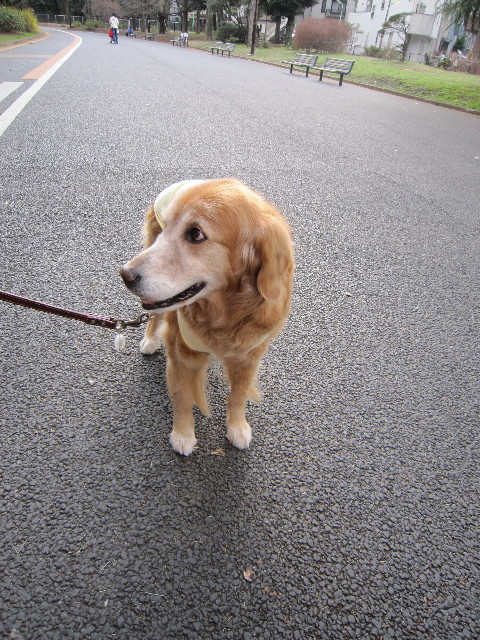 ファイル 1654-1.jpg