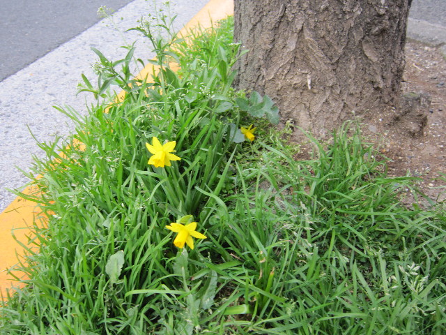 ファイル 1654-2.jpg