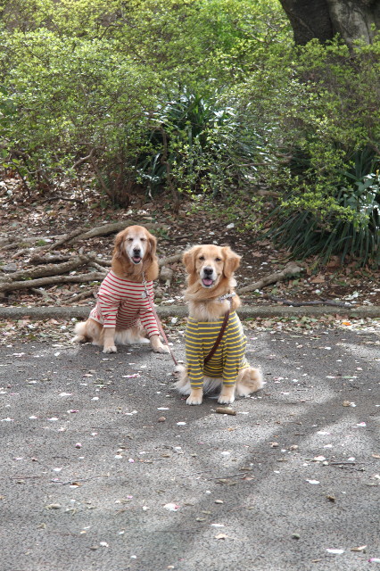 ファイル 1657-4.jpg