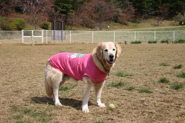 ファイル 166-3.jpg