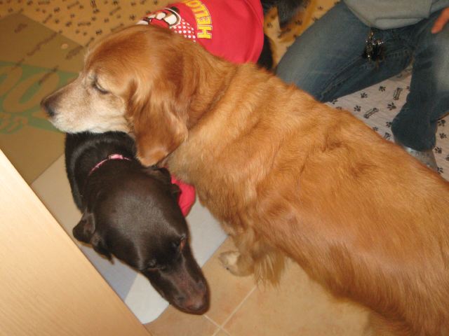 ファイル 166-4.jpg