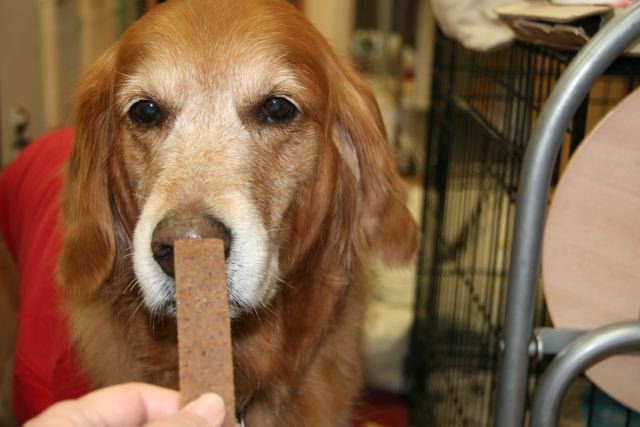 ファイル 166-5.jpg