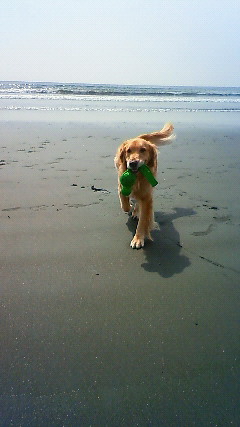 ファイル 1662-4.jpg