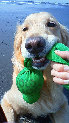 ファイル 1662-5.jpg