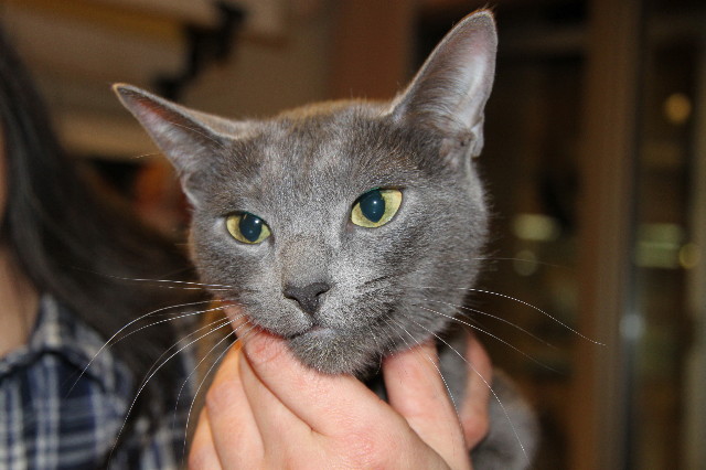 ファイル 1666-1.jpg