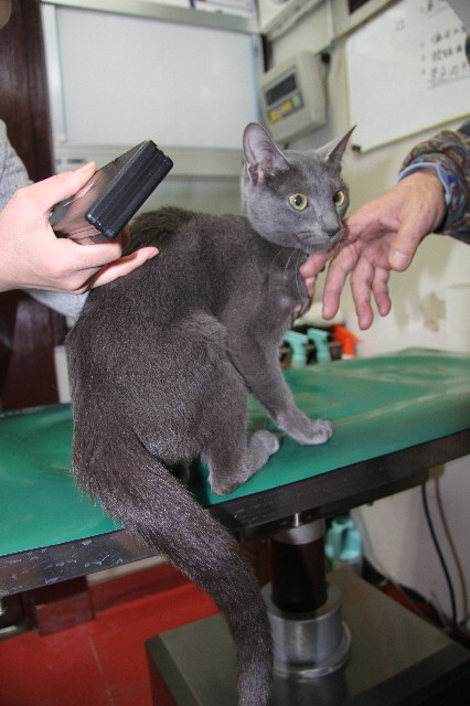 ファイル 1666-3.jpg