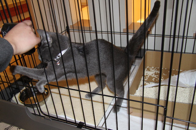 ファイル 1666-5.jpg