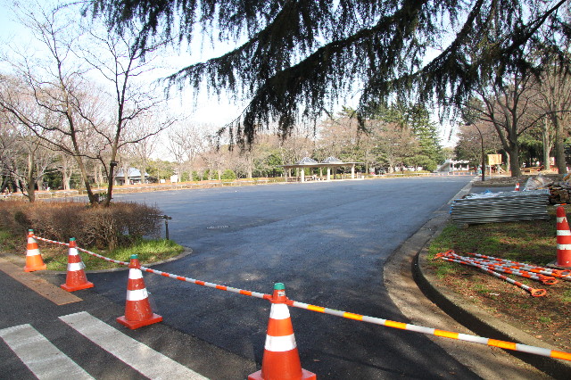 ファイル 1669-3.jpg