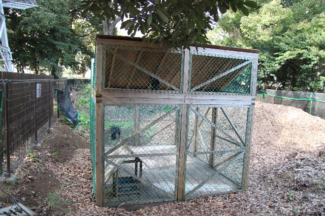 ファイル 1669-4.jpg