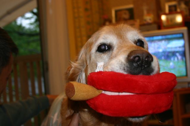 ファイル 167-2.jpg