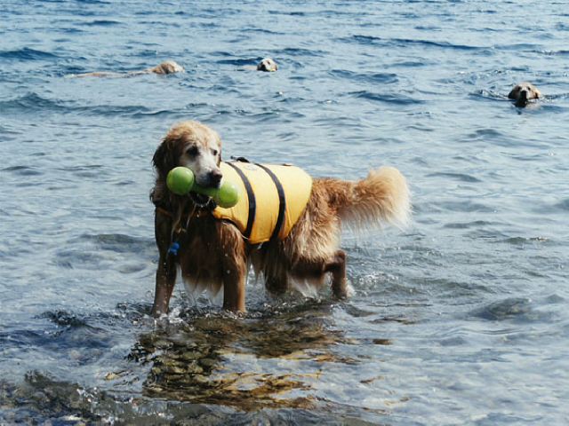 ファイル 167-3.jpg