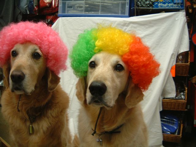 ファイル 167-5.jpg