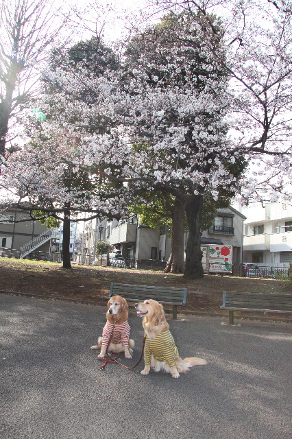 ファイル 1670-1.jpg