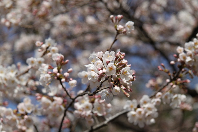 ファイル 1670-3.jpg