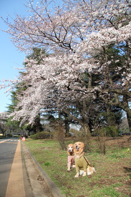 ファイル 1670-4.jpg