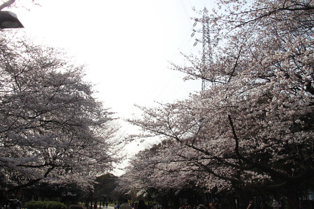 ファイル 1671-3.jpg