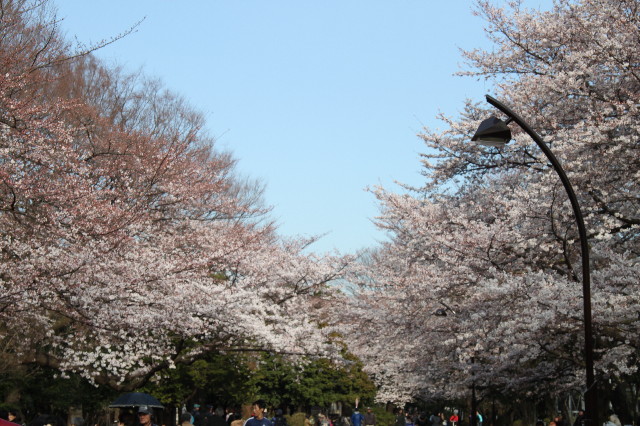 ファイル 1671-4.jpg