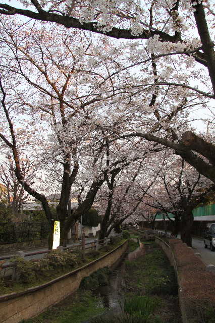 ファイル 1676-3.jpg