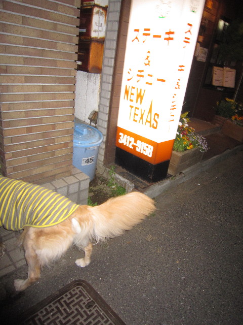 ファイル 1678-1.jpg